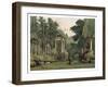 Ruins in Windsor Park, 1880-F Jones-Framed Giclee Print