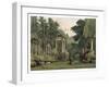 Ruins in Windsor Park, 1880-F Jones-Framed Giclee Print