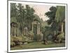 Ruins in Windsor Park, 1880-F Jones-Mounted Giclee Print