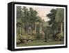 Ruins in Windsor Park, 1880-F Jones-Framed Stretched Canvas