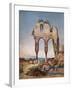 'Ruins near Palermo', 1852, (1938)-Felix De Lapommeraye-Framed Giclee Print