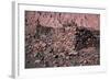 Ruins of a 12th Century Fortress Built by the Indigenous People-Mallorie Ostrowitz-Framed Photographic Print