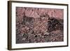 Ruins of a 12th Century Fortress Built by the Indigenous People-Mallorie Ostrowitz-Framed Photographic Print