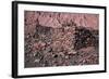 Ruins of a 12th Century Fortress Built by the Indigenous People-Mallorie Ostrowitz-Framed Photographic Print