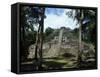 Ruins of a Temple, High Temple, Lamanai, Belize-null-Framed Stretched Canvas