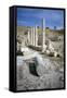 Ruins of Amathus, Cyprus, 2001-Vivienne Sharp-Framed Stretched Canvas