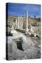 Ruins of Amathus, Cyprus, 2001-Vivienne Sharp-Stretched Canvas