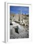 Ruins of Amathus, Cyprus, 2001-Vivienne Sharp-Framed Photographic Print