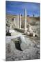 Ruins of Amathus, Cyprus, 2001-Vivienne Sharp-Mounted Photographic Print