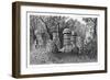 Ruins of an Ahom Temple, Dinajpur, Upper Assam, India, 1895-Armand Kohl-Framed Giclee Print