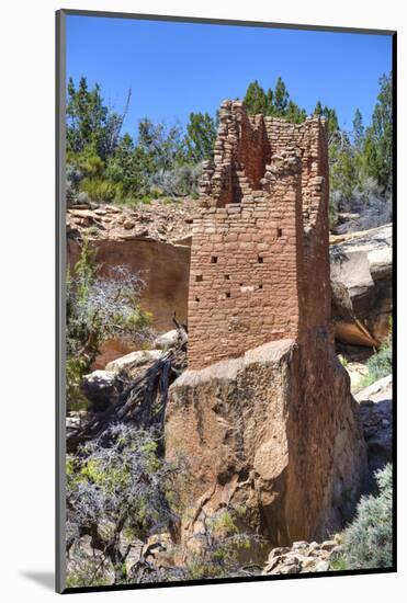 Ruins of Ancestral Puebloans, Square Tower, Dating from Between 900 Ad and 1200 Ad-Richard Maschmeyer-Mounted Photographic Print