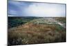 Ruins of Ancient City of Cannae, Battle of Cannae, Puglia, Italy-null-Mounted Giclee Print