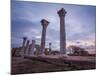 Ruins of Ancient Greek Colony Khersones-Saharrr-Mounted Photographic Print