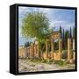 Ruins of ancient Hierapolis, Pamukkale, Denizli Province, Turkey-Ian Trower-Framed Stretched Canvas