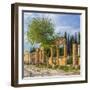 Ruins of ancient Hierapolis, Pamukkale, Denizli Province, Turkey-Ian Trower-Framed Photographic Print