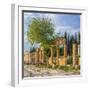 Ruins of ancient Hierapolis, Pamukkale, Denizli Province, Turkey-Ian Trower-Framed Photographic Print