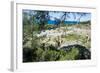 Ruins of Ancient Kameiros, Kalavarda, Rhodes, Dodecanese Islands, Greek Islands, Greece-Michael Runkel-Framed Photographic Print