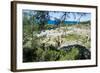 Ruins of Ancient Kameiros, Kalavarda, Rhodes, Dodecanese Islands, Greek Islands, Greece-Michael Runkel-Framed Photographic Print