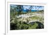 Ruins of Ancient Kameiros, Kalavarda, Rhodes, Dodecanese Islands, Greek Islands, Greece-Michael Runkel-Framed Photographic Print