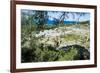 Ruins of Ancient Kameiros, Kalavarda, Rhodes, Dodecanese Islands, Greek Islands, Greece-Michael Runkel-Framed Photographic Print