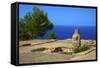 Ruins of Ancient Palace, Vouni, North Cyprus, Cyprus, Mediterranean, Europe-Neil Farrin-Framed Stretched Canvas