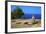 Ruins of Ancient Palace, Vouni, North Cyprus, Cyprus, Mediterranean, Europe-Neil Farrin-Framed Photographic Print