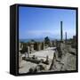 Ruins of Ancient Roman Baths, Antonine Baths, Carthage, UNESCO World Heritage Site, Tunis, Tunisia,-Stuart Black-Framed Stretched Canvas