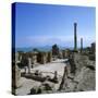 Ruins of Ancient Roman Baths, Antonine Baths, Carthage, UNESCO World Heritage Site, Tunis, Tunisia,-Stuart Black-Stretched Canvas