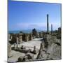 Ruins of Ancient Roman Baths, Antonine Baths, Carthage, UNESCO World Heritage Site, Tunis, Tunisia,-Stuart Black-Mounted Photographic Print