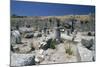 Ruins of Ancient Thera, Santorini Island, Greece-null-Mounted Giclee Print