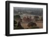 Ruins of Bagan (Pagan), Myanmar (Burma), Asia-Colin Brynn-Framed Photographic Print