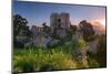 Ruins of Castle Gymes - Slovakia-TTstudio-Mounted Photographic Print