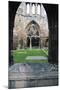 Ruins of Cathedral-null-Mounted Giclee Print