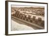 Ruins of Chan Chan Pre-Columbian Archaeological Site Near Trujillo, Peru, South America-Michael DeFreitas-Framed Photographic Print