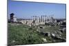 Ruins of Christian Church of Apamea, Syria, Byzantine Civilization, 5th Century-null-Mounted Giclee Print