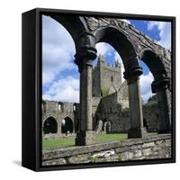 Ruins of Cistercian Jerpoint Abbey, Jerpoint, County Kilkenny, Leinster, Republic of Ireland-Stuart Black-Framed Stretched Canvas