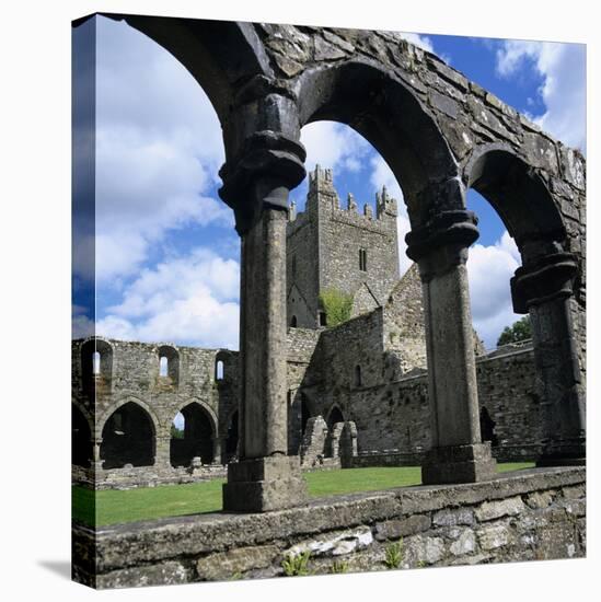 Ruins of Cistercian Jerpoint Abbey, Jerpoint, County Kilkenny, Leinster, Republic of Ireland-Stuart Black-Stretched Canvas