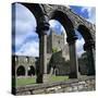 Ruins of Cistercian Jerpoint Abbey, Jerpoint, County Kilkenny, Leinster, Republic of Ireland-Stuart Black-Stretched Canvas