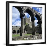 Ruins of Cistercian Jerpoint Abbey, Jerpoint, County Kilkenny, Leinster, Republic of Ireland-Stuart Black-Framed Photographic Print