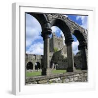 Ruins of Cistercian Jerpoint Abbey, Jerpoint, County Kilkenny, Leinster, Republic of Ireland-Stuart Black-Framed Photographic Print