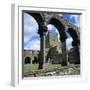 Ruins of Cistercian Jerpoint Abbey, Jerpoint, County Kilkenny, Leinster, Republic of Ireland-Stuart Black-Framed Photographic Print