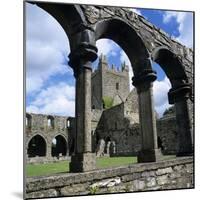 Ruins of Cistercian Jerpoint Abbey, Jerpoint, County Kilkenny, Leinster, Republic of Ireland-Stuart Black-Mounted Photographic Print