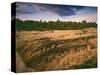 Ruins of Cliff Palace Built by Pueblo Indians, Mesa Verde National Park, Colorado, USA-Dennis Flaherty-Stretched Canvas