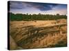 Ruins of Cliff Palace Built by Pueblo Indians, Mesa Verde National Park, Colorado, USA-Dennis Flaherty-Stretched Canvas