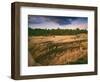 Ruins of Cliff Palace Built by Pueblo Indians, Mesa Verde National Park, Colorado, USA-Dennis Flaherty-Framed Photographic Print