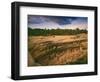 Ruins of Cliff Palace Built by Pueblo Indians, Mesa Verde National Park, Colorado, USA-Dennis Flaherty-Framed Photographic Print