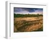 Ruins of Cliff Palace Built by Pueblo Indians, Mesa Verde National Park, Colorado, USA-Dennis Flaherty-Framed Photographic Print