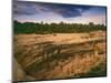 Ruins of Cliff Palace Built by Pueblo Indians, Mesa Verde National Park, Colorado, USA-Dennis Flaherty-Mounted Photographic Print