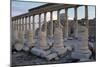 Ruins of Colonnade in Palmyra-null-Mounted Photographic Print