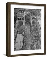 Ruins of Coventry Cathedral after Bombing by Germans During WWII-null-Framed Photographic Print